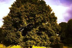 contact from the other side